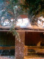 /album/perc-neige/sp-a0320-jpg/